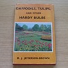 Daffodils, Tulips and Other Hardy Bulbs.