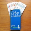 Delyn Guides.