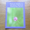 Nature Walks in Madeley Parish.
