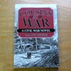 Cousins at War: A Civil War Novel.